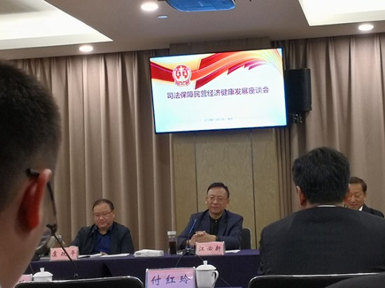 全国人大代表、ga黄金甲集团董事长熊建明参加司法保障民营经济健康发展座谈会